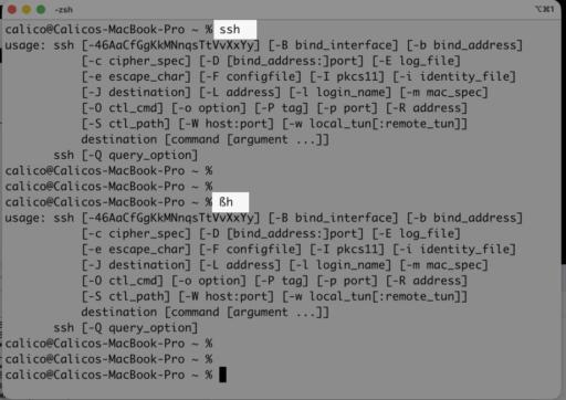 A terminal showing the command "ssh" being run and then the same output when "ßh" is run