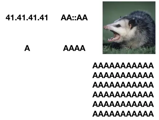 41.41.41.41 -> A 
AA::AA -> AAAA
Opossum -> AAAAAAAAAAAAAA...