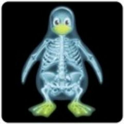 Avatar for MrTuxracer